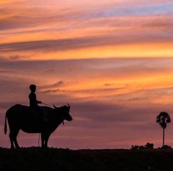 5 Kiat Menghasilkan Foto Senja yang Tidak Biasa