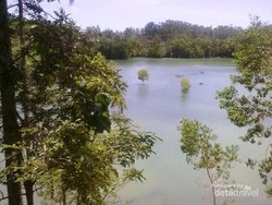 Pacitan Juga Punya Danau Cantik, Telaga Jebengan