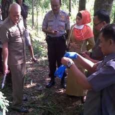 Mayat Bayi Perempuan Tanpa Kaki dan Tangan Ditemukan di Hutan Prigen