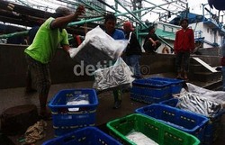 Awas, Seafood dari Laut Dangkal Mengandung Limbah Pemicu Kolesterol