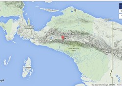 Buru Penembak Mobil Sembako di Papua, Polisi Kerahkan 2 Mobil Anti Peluru