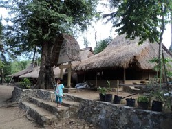 Menyelami Kehidupan Suku Sasak di Lombok Tengah