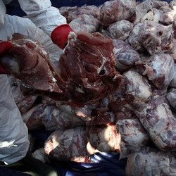 Strategi Intelijen Dipakai Untuk Incar Pelaku Daging Celeng