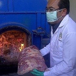 Kagetnya Mentan Suswono, Penyelundupan Daging Celeng Naik 3 Kali Lipat