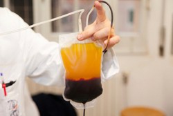 Mau Donor Darah Tapi Tunggu Usai Berbuka? Bisa, PMI Buka Layanan 24 Jam Kok