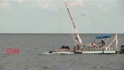 Pemancing Bantu Seekor Ikan Pari Melahirkan