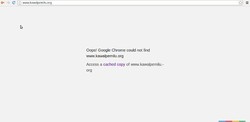 Diserbu Hacker, Kawalpemilu.org Sempat Down