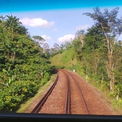 Jokowi Bakal Sambungkan Merak-Banyuwangi dengan Kereta Jalur Ganda