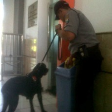 Anjing Pelacak Dikerahkan Amankan Angkutan Lebaran di Stasiun