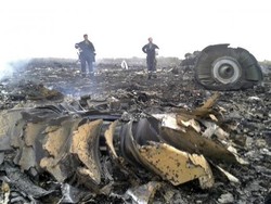 Ada 11 WNI dalam Pesawat MH17 yang Jatuh Ditembak Roket di Ukraina