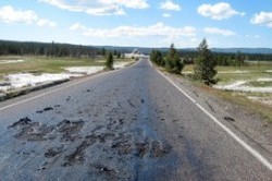 Saking Panasnya, Jalan Aspal di Taman Nasional AS Meleleh