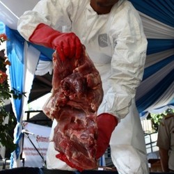 Ini Wilayah yang Diduga Jadi Lumbung Daging Celeng di Sumatera