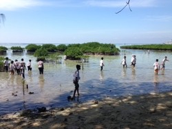 Serunya Beramal Sambil Bermain di Pulau Pramuka dalam Orphanship