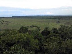 Akhir Pekan Eksotis ke Afrika di Jawa Timur