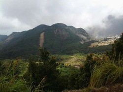 Hijaunya Pemandangan Papandayan dari Pondok Saladah