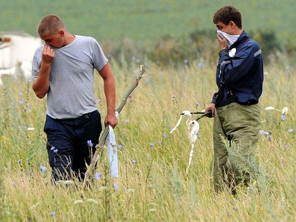 Evakuasi Korban MH17