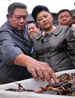 Ibu Ani Yudhoyono Raih Penghargaan Tokoh Peduli Peningkatan Kecerdasan Anak