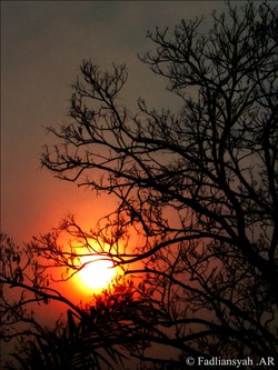 Ranting Senja