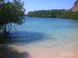 Pantai Balanan, Sekeping Surga di Baluran