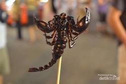 Kalajengking Goreng, Kuliner Ekstrem dari Thailand