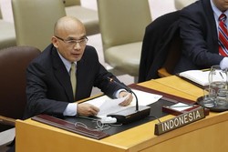 Di Forum Dewan Keamanan PBB, Indonesia Minta Penembak Jatuh MH17 Diadili