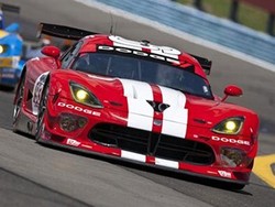 Berkumpulnya Ular-ular Amerika