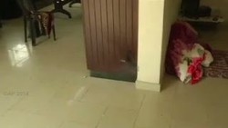 Kantor Al Jazeera di Gaza Ditembaki, Israel Bantah Incar Media