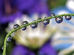 Wow! Ilmuwan Kembangkan Charger Tenaga Embun