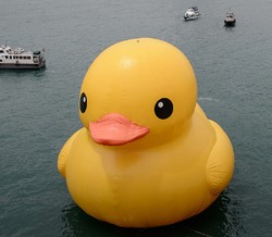 Balon Bebek Kuning Raksasa di Sungai Nanming China Hilang!
