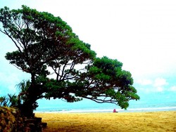 Ini Dia Pantai Indah di Gunungkidul untuk Libur Lebaran