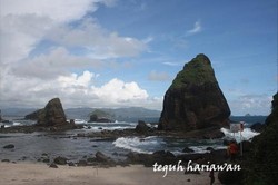 Pesona Pantai Selatan Papuma