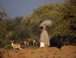 Kisah Suku Miskin di India yang Rela Mati Demi Lingkungan (1)