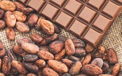 Kini Sudah Dapat Dinikmati, Cokelat Tanpa Rasa Pahit!