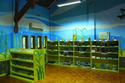 Lihat Awetan Hewan Laut di Rumah Pintar Ancol, Berani?