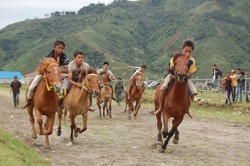 Pacuan Kuda di Takengon, Serunya Bikin Lupa Bernafas