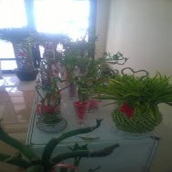 Ada Bambu Keberuntungan, Sekarang Petani Bunga Lebih Makmur