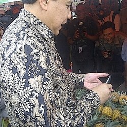 Borong 40 Nanas Pemalang, CT: Ini Harus Dijual di Trans Retail