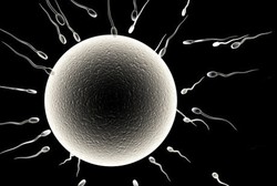 Putih, Pink atau Cokelat? Warna Sperma Tunjukkan Kondisi Kesehatan Pria