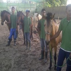 Beda dengan Era Soeharto, Kini Bisnis Pacuan Kuda Lesu