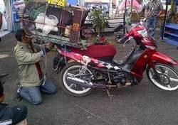 Mudik Bonceng Sangkar Burung!