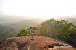Begini Cantiknya Pemandangan Dari Puncak Gunung Nglanggeran