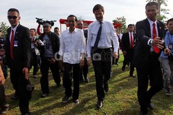 Ditelepon PM Belanda, Jokowi Sampaikan Belasungkawa atas Tragedi MH17