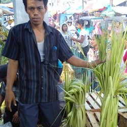 Pria Ini Raup Untung Rp 500.000/Hari Jualan Bungkus Ketupat