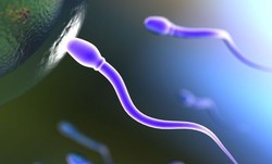 Cairan yang Keluar Setelah Nonton Film Porno, Air Mani atau Madzi?