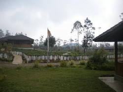 Mudik ke Bandung, Liburan ke Kebun Stroberi Ciwidey