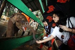 Harga Tiket Murah, Kebun Binatang Ragunan jadi Primadona Saat Liburan