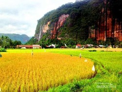 Tebing-tebing Indah di Indonesia Itu Bernama Lembah Harau