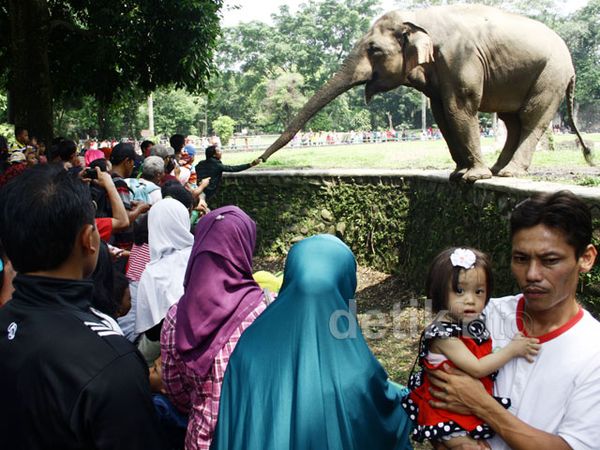 Puluhan Ribu Pengunjung Padati Ragunan
