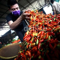 Terendah Sepanjang KIB II, Inflasi Lebaran Juli 2014 Diprediksi 0,73%