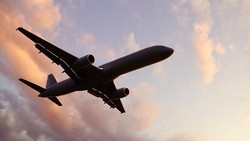 Lonjakan Pemudik yang Menggunakan Pesawat Terjadi di H-3